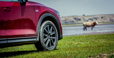 CX-5，马自达CX-5，CX-5马自达，CX-5 2017，ag尊龙cx-5