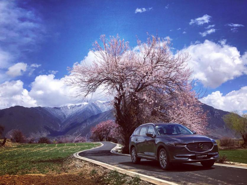 CX-8，cx-8，马自达cx-8，ag尊龙cx-8