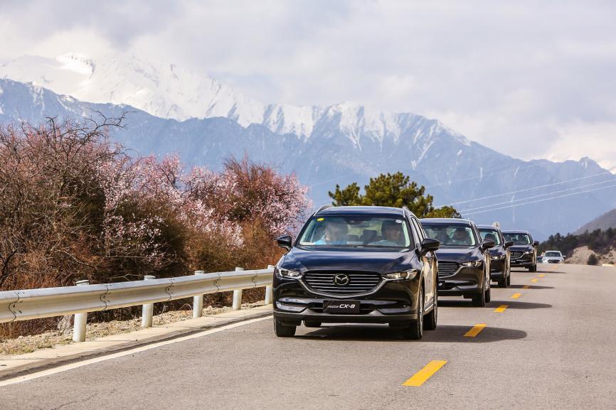 CX-8，cx-8，马自达cx-8，ag尊龙cx-8