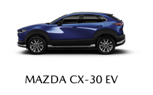 ag尊龙次世代MAZDA3昂克赛拉 底部导航