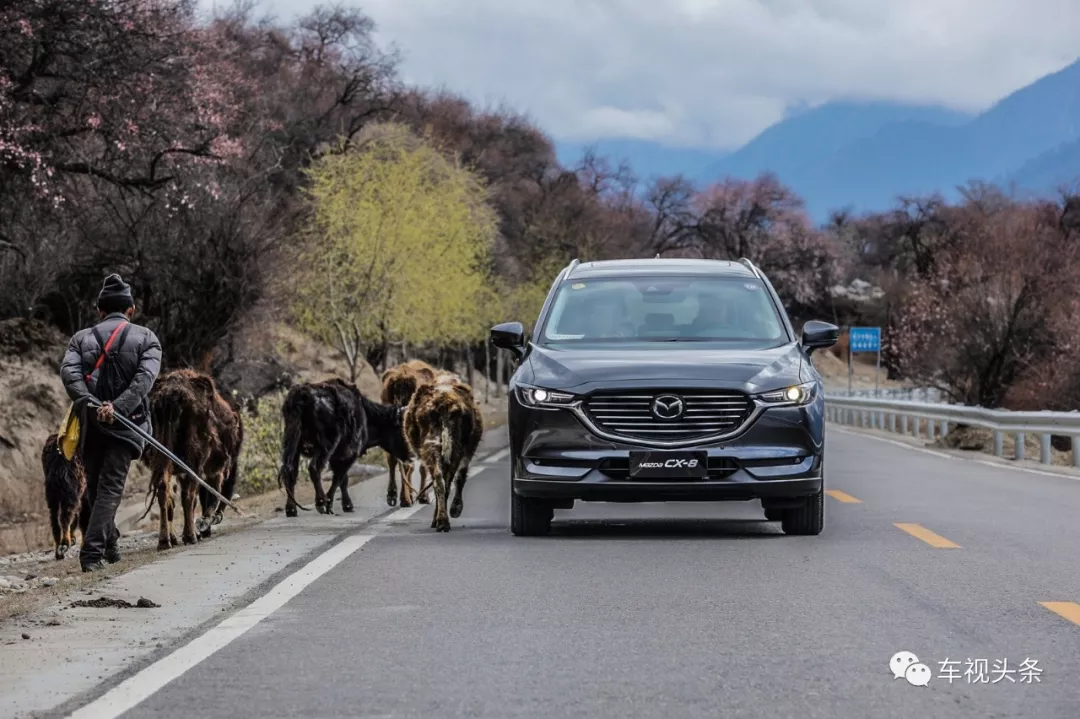 cx-8现在多少钱，马自达cx-8提车多少钱，cx-8两驱尊贵多少钱